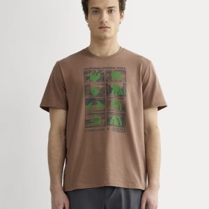 The Everlane x Parks Project Essential Organic Crew | Brown / Green / Forged Iron